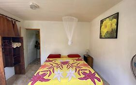 Bed And Breakfast Pension Taputea À